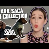 ¿Zara tiene una línea de ropa para mascotas?